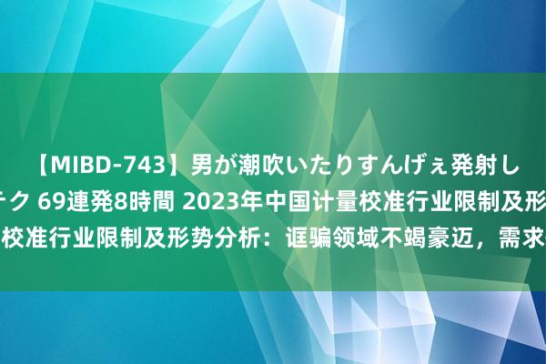 【MIBD-743】男が潮吹いたりすんげぇ発射しちゃう！ 女神の痴女テク 69連発8時間 2023年中国计量校准行业限制及形势分析：诓骗领域不竭豪迈，需求快速增长[图]