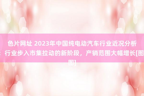 色片网址 2023年中国纯电动汽车行业近况分析：行业步入市集拉动的新阶段，产销范围大幅增长[图]