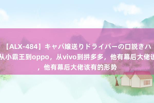 【ALX-484】キャバ嬢送りドライバーの口説きハメ撮り 2 从小霸王到oppo，从vivo到拼多多，他有幕后大佬该有的形势