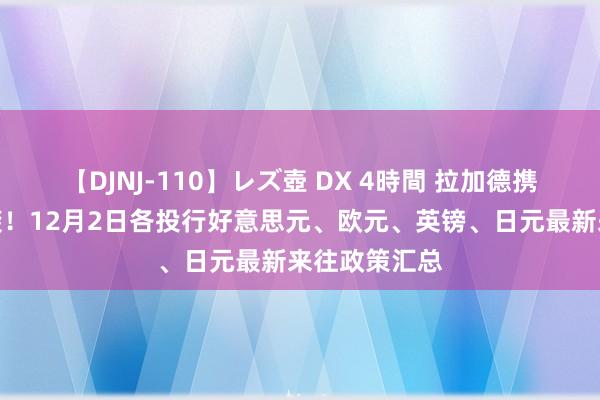 【DJNJ-110】レズ壺 DX 4時間 拉加德携要津数据来袭！12月2日各投行好意思元、欧元、英镑、日元最新来往政策汇总