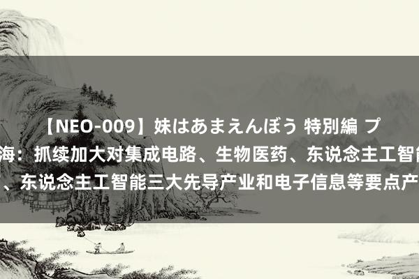 【NEO-009】妹はあまえんぼう 特別編 プレミアおなら ひかる 上海：抓续加大对集成电路、生物医药、东说念主工智能三大先导产业和电子信息等要点产业因循力度