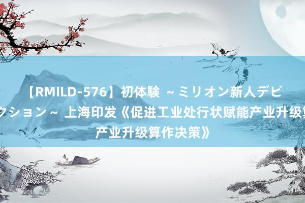 【RMILD-576】初体験 ～ミリオン新人デビューコレクション～ 上海印发《促进工业处行状赋能产业升级算作决策》