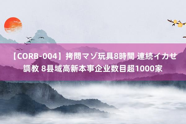 【CORB-004】拷問マゾ玩具8時間 連続イカせ調教 8县域高新本事企业数目超1000家