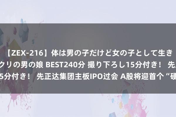 【ZEX-216】体は男の子だけど女の子として生きてる 感じやすいペニクリの男の娘 BEST240分 撮り下ろし15分付き！ 先正达集团主板IPO过会 A股将迎首个“硬科技”农业股