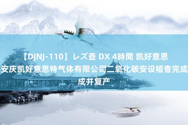 【DJNJ-110】レズ壺 DX 4時間 凯好意思特气：安庆凯好意思特气体有限公司二氧化碳安设稽查完成并复产