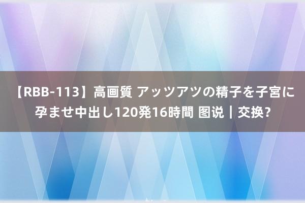 【RBB-113】高画質 アッツアツの精子を子宮に孕ませ中出し120発16時間 图说｜交换？