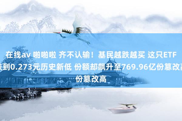 在线av 啪啪啦 齐不认输！基民越跌越买 这只ETF跌到0.273元历史新低 份额却飙升至769.96亿份篡改高