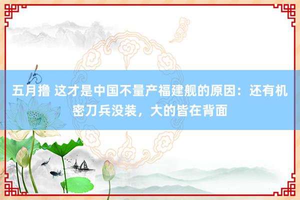 五月撸 这才是中国不量产福建舰的原因：还有机密刀兵没装，大的皆在背面