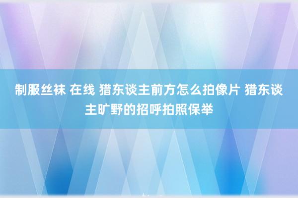 制服丝袜 在线 猎东谈主前方怎么拍像片 猎东谈主旷野的招呼拍照保举