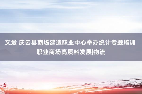 文爱 庆云县商场建造职业中心举办统计专题培训 职业商场高质料发展|物流