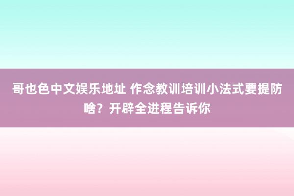 哥也色中文娱乐地址 作念教训培训小法式要提防啥？开辟全进程告诉你