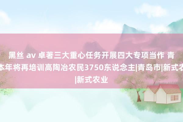 黑丝 av 卓著三大重心任务开展四大专项当作 青岛本年将再培训高陶冶农民3750东说念主|青岛市|新式农业