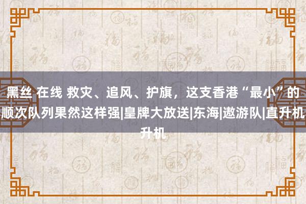 黑丝 在线 救灾、追风、护旗，这支香港“最小”的顺次队列果然这样强|皇牌大放送|东海|遨游队|直升机